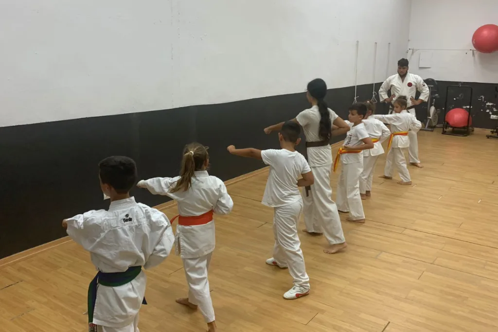Clases de karate para ninos en cadiz y malaga